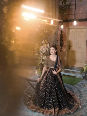 Royal Noir Heritage Embroidered Lehenga