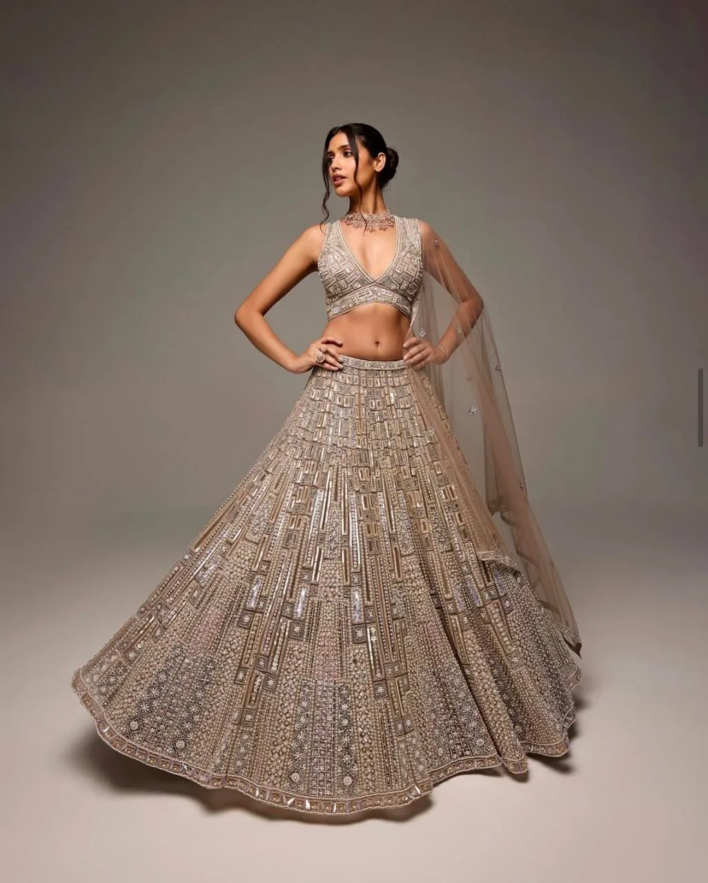 Champagne Luxe Net Bridal Lehenga