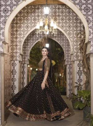 Royal Noir Heritage Embroidered Lehenga