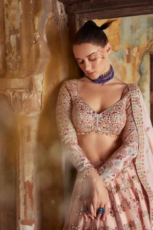 Blush Royale Faux Georgette Lehenga Set