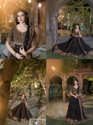 Royal Noir Heritage Embroidered Lehenga