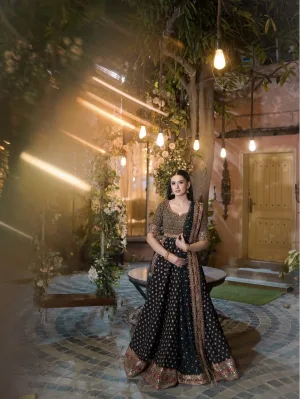 Royal Noir Heritage Embroidered Lehenga