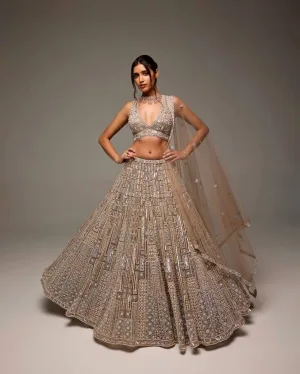 Champagne Luxe Net Bridal Lehenga