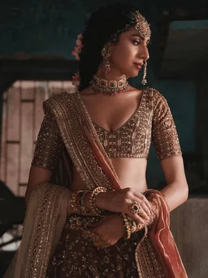 Royal Brown Kasturi Silk Lehenga Set