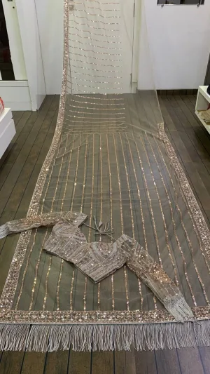 Mocha Glam Net Designer Saree
