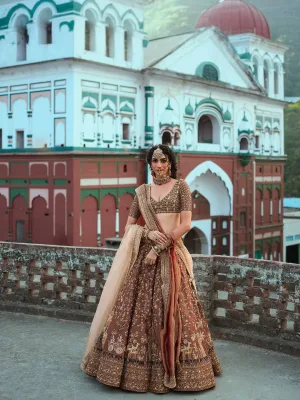 Royal Brown Kasturi Silk Lehenga Set