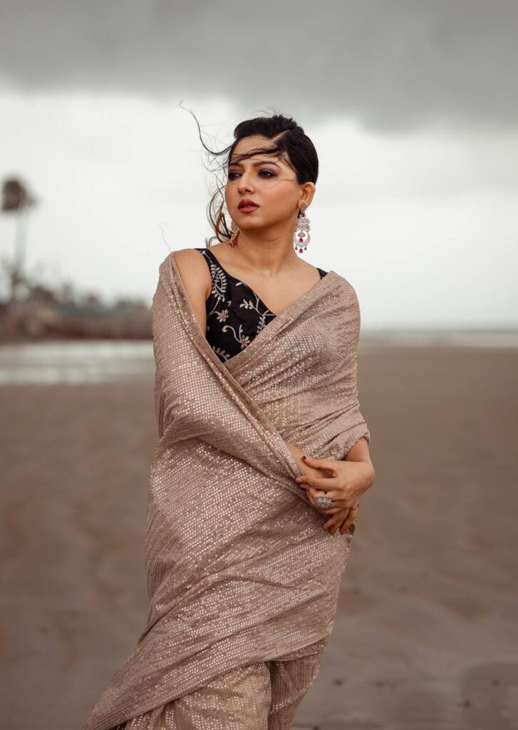 shimmer and shine saree