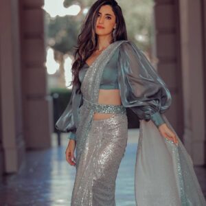 Party wear grey Saree