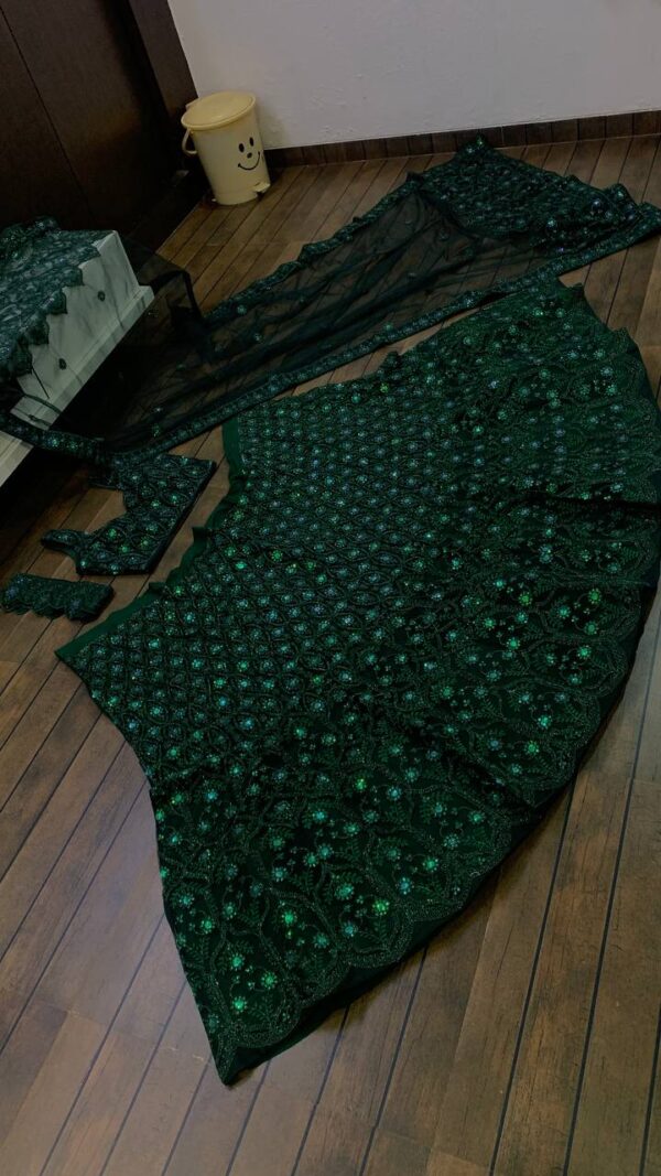 Butterfly net dupatta with sequin and dori work