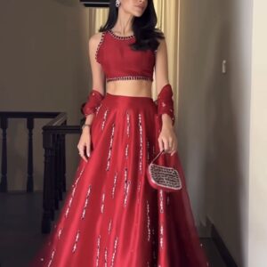 Back view of crimson red mirror work lehenga choli