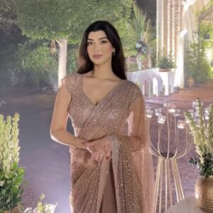 Designer nude sparkle saree with embroidered blouse