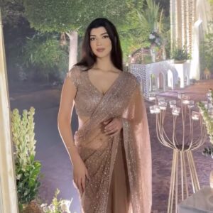 Nude champagne sequin saree for wedding and reception