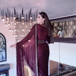 Royal burgundy embroidered saree modern ethnic fashion