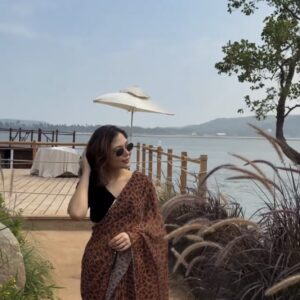 Brown Leopard Print Saree